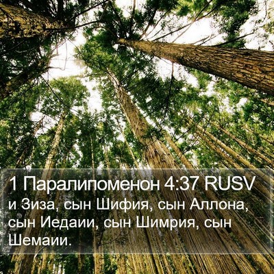1 Паралипоменон 4:37 RUSV Bible Verse Image