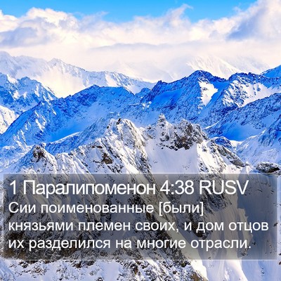 1 Паралипоменон 4:38 RUSV Bible Verse Image