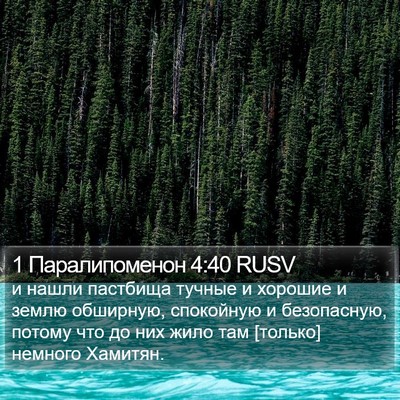 1 Паралипоменон 4:40 RUSV Bible Verse Image