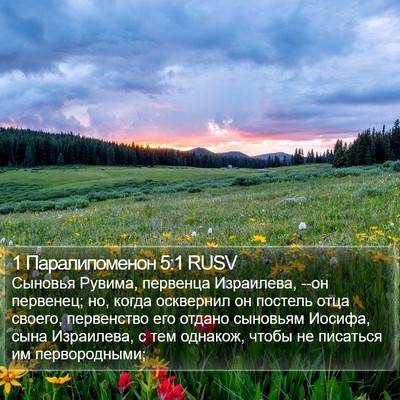 1 Паралипоменон 5:1 RUSV Bible Verse Image