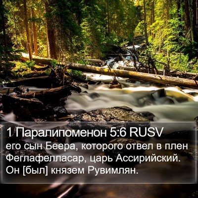 1 Паралипоменон 5:6 RUSV Bible Verse Image