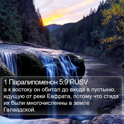 1 Паралипоменон 5:9 RUSV Bible Verse Image