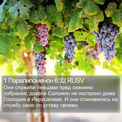 1 Паралипоменон 6:32 RUSV Bible Verse Image