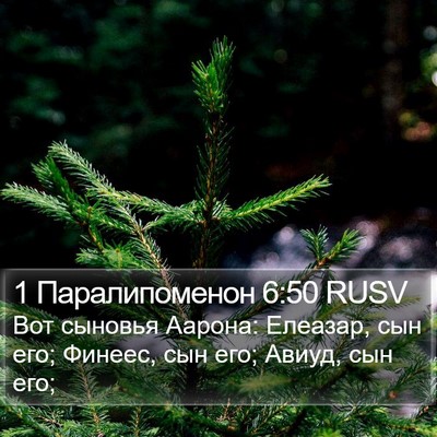 1 Паралипоменон 6:50 RUSV Bible Verse Image
