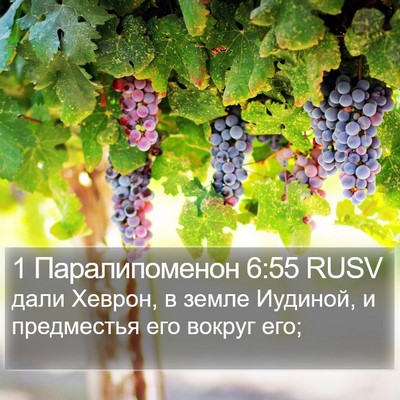 1 Паралипоменон 6:55 RUSV Bible Verse Image