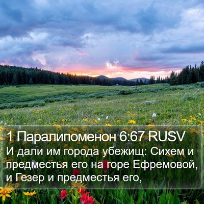 1 Паралипоменон 6:67 RUSV Bible Verse Image