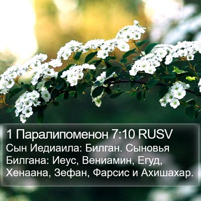 1 Паралипоменон 7:10 RUSV Bible Verse Image