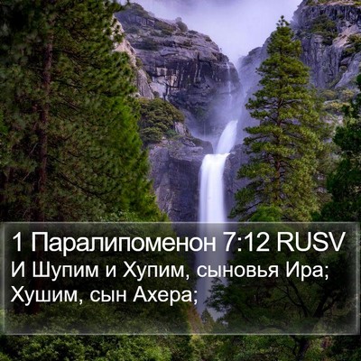 1 Паралипоменон 7:12 RUSV Bible Verse Image
