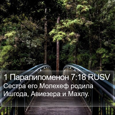 1 Паралипоменон 7:18 RUSV Bible Verse Image