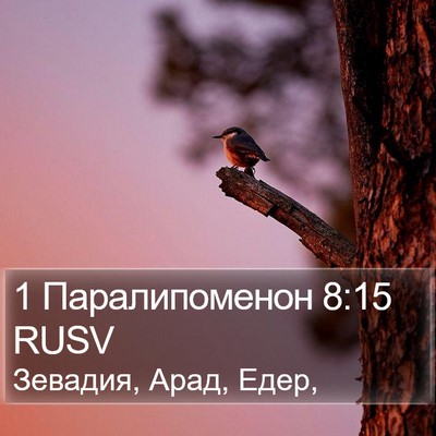 1 Паралипоменон 8:15 RUSV Bible Verse Image
