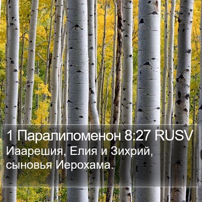 1 Паралипоменон 8:27 RUSV Bible Verse Image