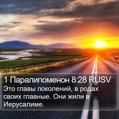 1 Паралипоменон 8:28 RUSV Bible Verse Image