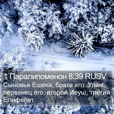 1 Паралипоменон 8:39 RUSV Bible Verse Image