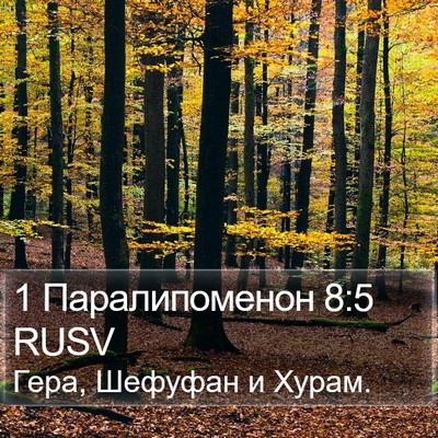 1 Паралипоменон 8:5 RUSV Bible Verse Image