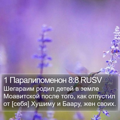 1 Паралипоменон 8:8 RUSV Bible Verse Image