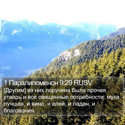 1 Паралипоменон 9:29 RUSV Bible Verse Image
