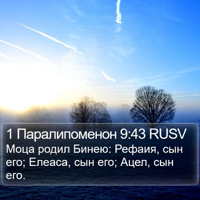 1 Паралипоменон 9:43 RUSV Bible Verse Image
