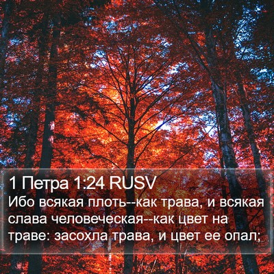 1 Петра 1:24 RUSV Bible Verse Image