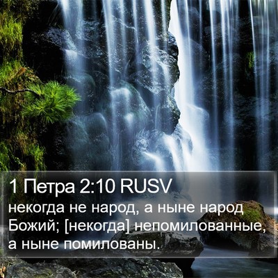 1 Петра 2:10 RUSV Bible Verse Image