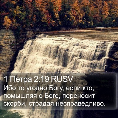 1 Петра 2:19 RUSV Bible Verse Image