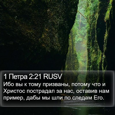 1 Петра 2:21 RUSV Bible Verse Image