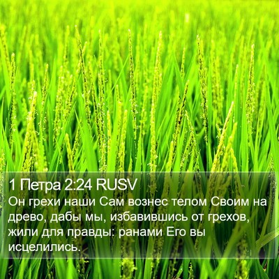 1 Петра 2:24 RUSV Bible Verse Image