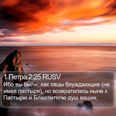 1 Петра 2:25 RUSV Bible Verse Image