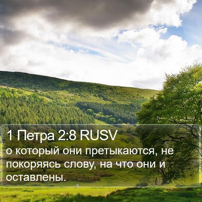 1 Петра 2:8 RUSV Bible Verse Image