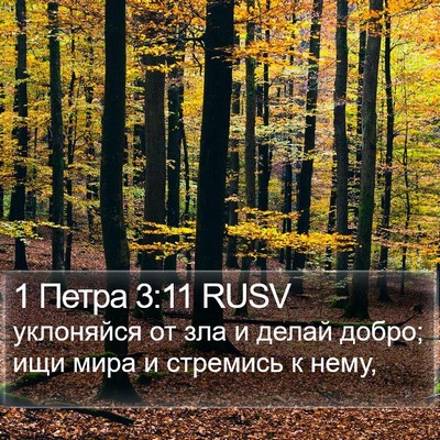 1 Петра 3:11 RUSV Bible Verse Image