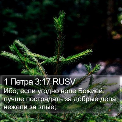 1 Петра 3:17 RUSV Bible Verse Image