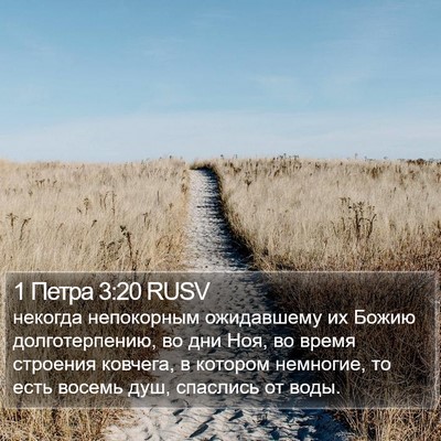 1 Петра 3:20 RUSV Bible Verse Image