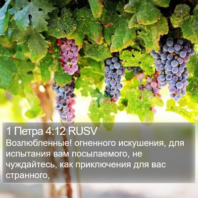 1 Петра 4:12 RUSV Bible Verse Image