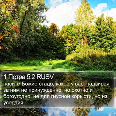 1 Петра 5:2 RUSV Bible Verse Image