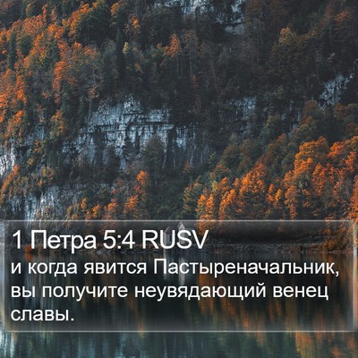 1 Петра 5:4 RUSV Bible Verse Image