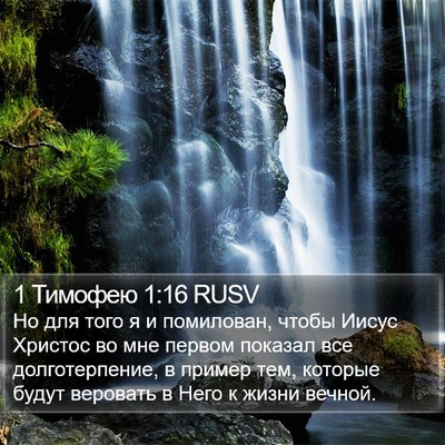 1 Тимофею 1:16 RUSV Bible Verse Image
