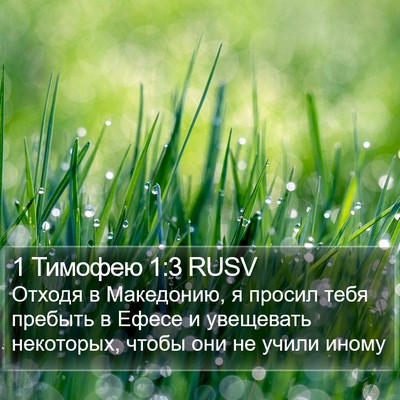 1 Тимофею 1:3 RUSV Bible Verse Image