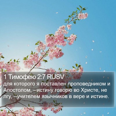 1 Тимофею 2:7 RUSV Bible Verse Image