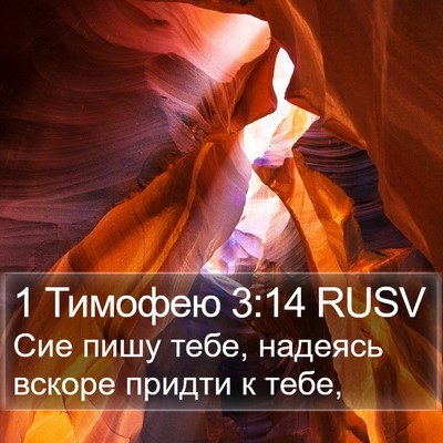 1 Тимофею 3:14 RUSV Bible Verse Image
