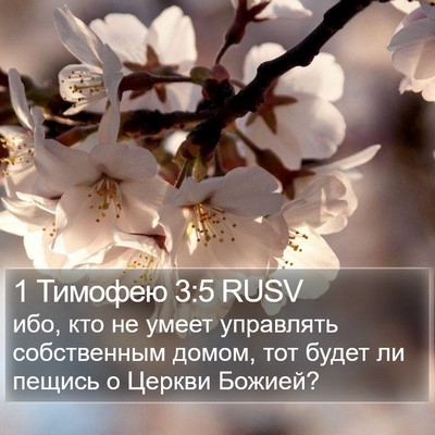 1 Тимофею 3:5 RUSV Bible Verse Image