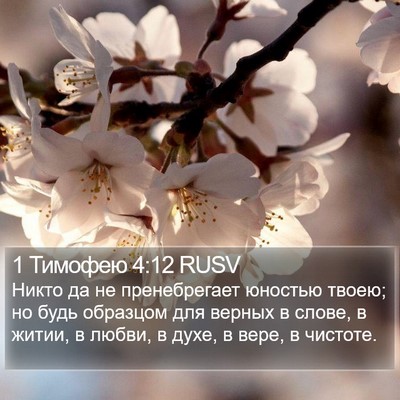 1 Тимофею 4:12 RUSV Bible Verse Image
