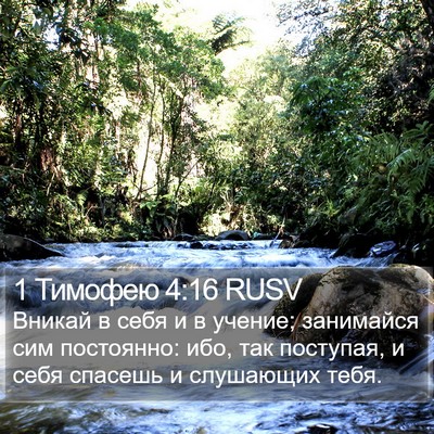 1 Тимофею 4:16 RUSV Bible Verse Image