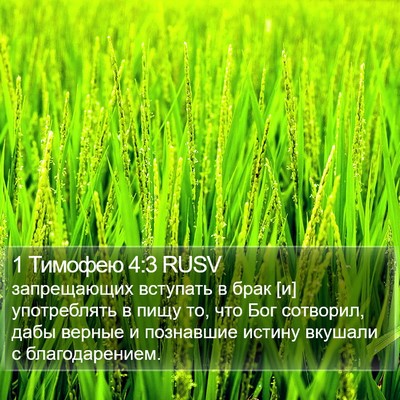 1 Тимофею 4:3 RUSV Bible Verse Image