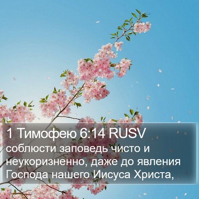 1 Тимофею 6:14 RUSV Bible Verse Image