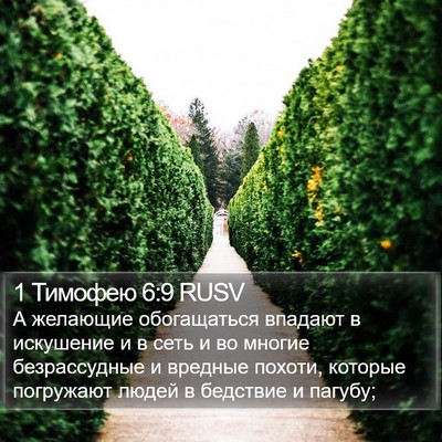 1 Тимофею 6:9 RUSV Bible Verse Image