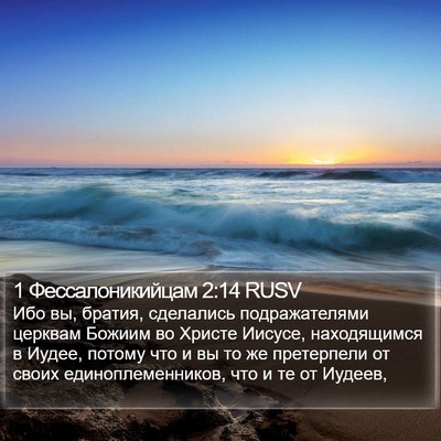 1 Фессалоникийцам 2:14 RUSV Bible Verse Image