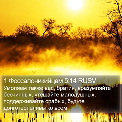 1 Фессалоникийцам 5:14 RUSV Bible Verse Image