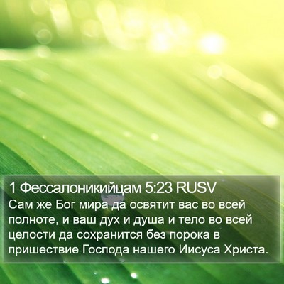 1 Фессалоникийцам 5:23 RUSV Bible Verse Image