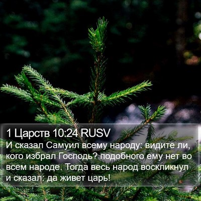 1 Царств 10:24 RUSV Bible Verse Image