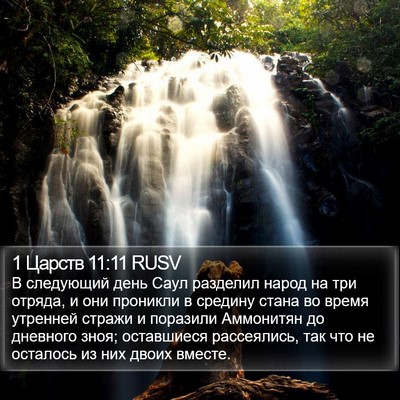 1 Царств 11:11 RUSV Bible Verse Image