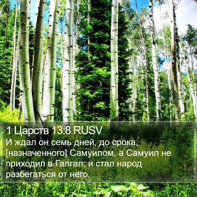 1 Царств 13:8 RUSV Bible Verse Image
